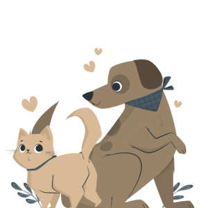 pet