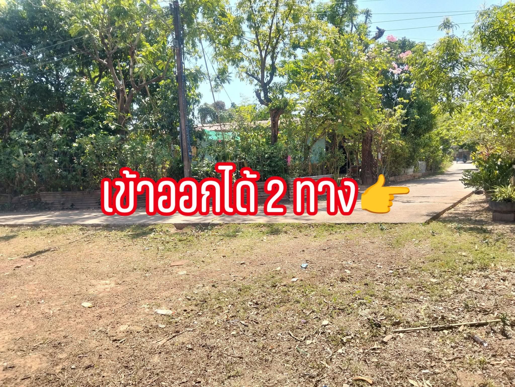 ที่ดิน 1 ไร่ 28 ตร.วบ้านนาสมดีอำเภอเมืองนครพนม 5