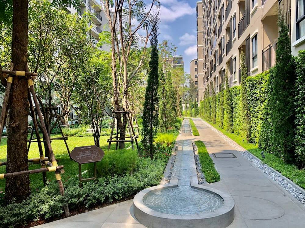 ให้เช่า Condo La Casita Hua Hin ใกล้หาดหัวหิน ขนาด 27 ตารางเมตร 1 ห้องนอน ชั้น4 ทิศเหนือ ตึกD ตกแต่งครบพร้อมอยู่ 10