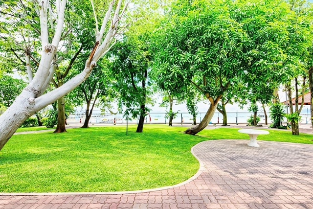 อาคารพาณิชย์ 4 ชั้น 5 นอน 5 น้ำ ท่าเทียบเรือศรีราชา ฮาร์เบอร์ 890ม. หาคนช่วยรีโนเวท 24 ตร.ว. 380 ตร.ม. ตึกคอม ศรีราชา 1. 6