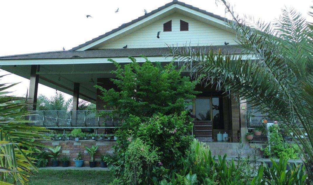 ขายที่ดิน อ.บ้านโป่ง  จ. ราชบุรี 6 ไร่ พร้อมบ้าน 3 หลัง 10