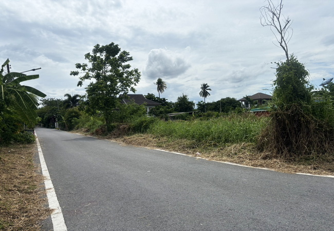 ขายที่ดิน ซอยสุขาภิบาล 10 สามพราน นครปฐม เนื้อที่ 89 ตร.ว. แปลงมุม 4