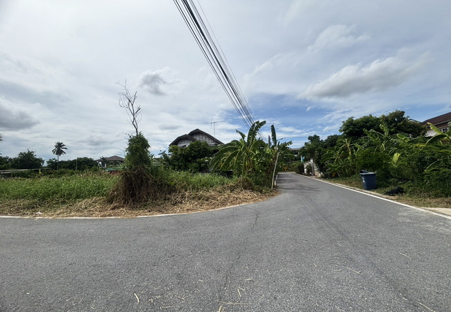 ขายที่ดิน ซอยสุขาภิบาล 10 สามพราน นครปฐม เนื้อที่ 89 ตร.ว. แปลงมุม 3