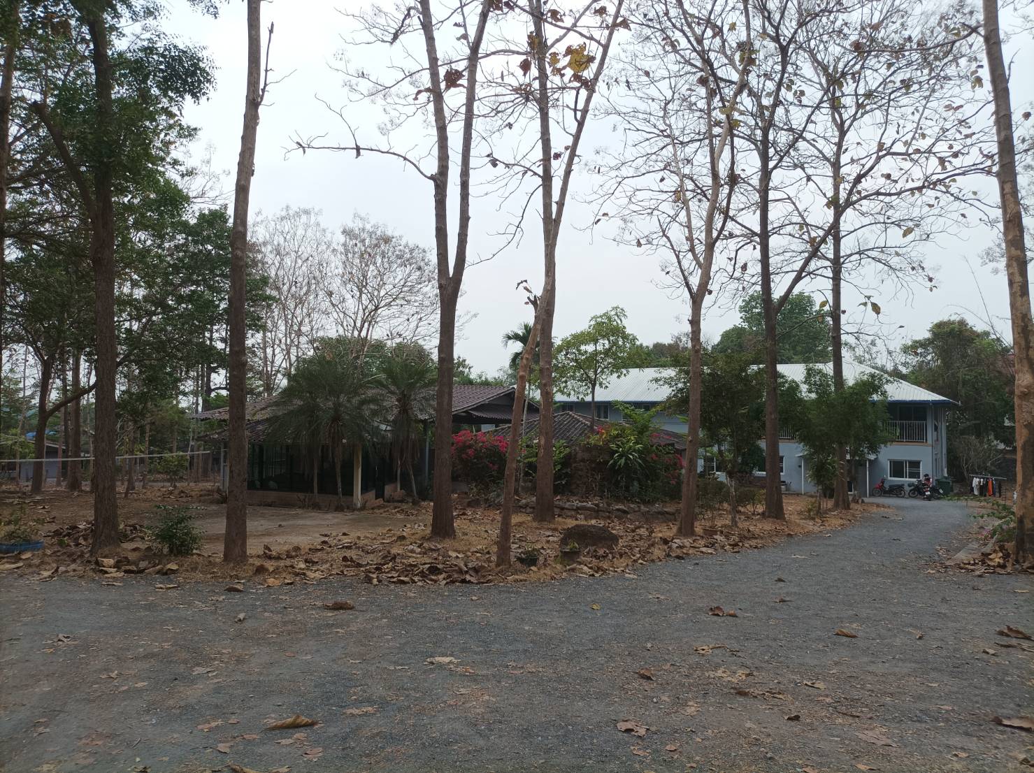 ขายที่ดินพร้อมสิ่งปลูกสร้าง ต.เชิงดอย อ.ดอยสะเก็ด จ.เชียงใหม่ 5