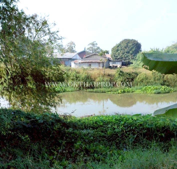 ที่ดินสวย 2 แปลง ใกล้โรงพยาบาลบึงสามัคคี อ.บึงสามัคคี จ.กำแพงเพชร 8