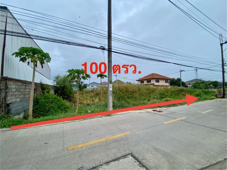 ขายที่ดินสวย 100 ตรว เขต บางขุนเทียน กทม 5