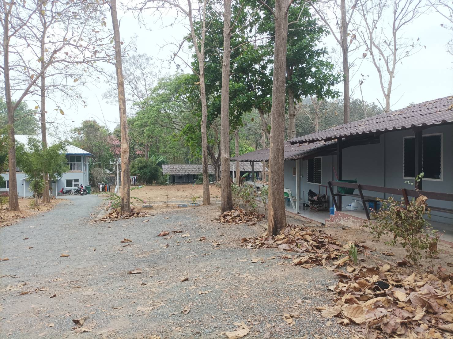 ขายที่ดินพร้อมสิ่งปลูกสร้าง ต.เชิงดอย อ.ดอยสะเก็ด จ.เชียงใหม่ 7