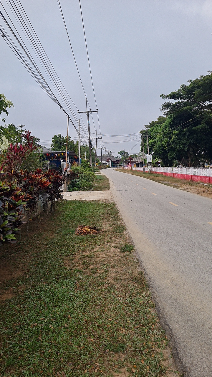 ขายที่ดินเปล่าถมดินแล้ว 2