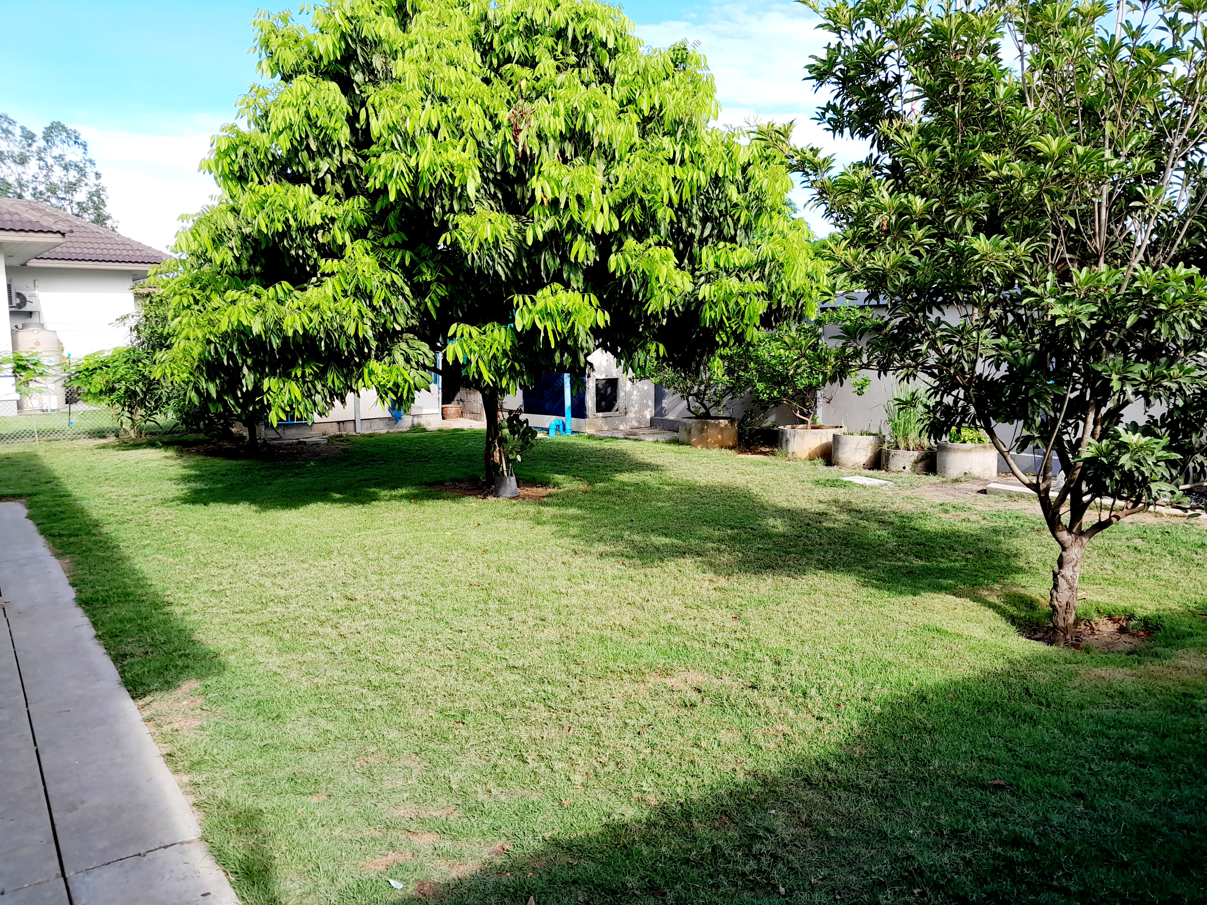 บ้านเดี่ยว สไตล์รีสอร์ท จ.นครปฐม 18