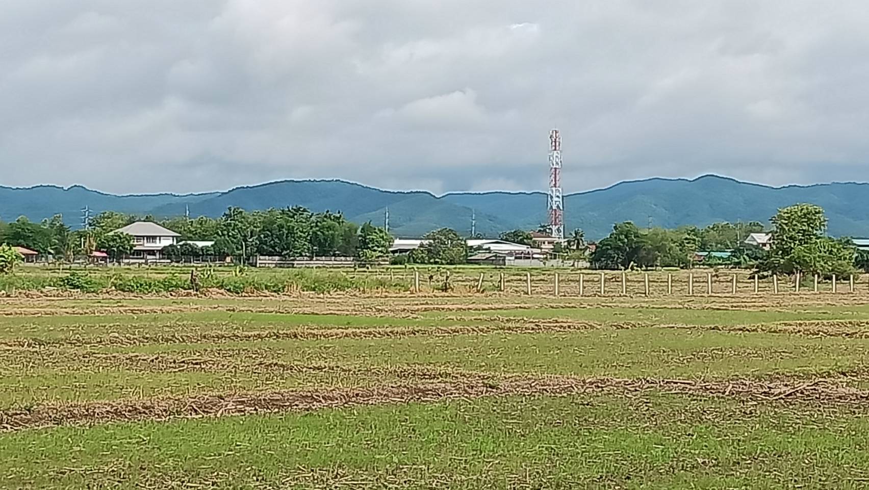 ขายที่ดินว่างเปล่า(ที่นาเกษตรกรรม) เนื้อที่ 12 ไร่   ตำบลดอนมูล อำเภอสูงเม่น จังหวัดแพร่ ติดถนน 3 ด้าน 6