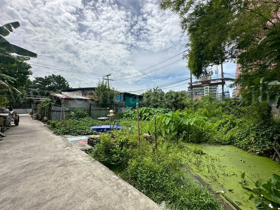 ที่ดินเปล่า 59 ตร.วา ซอยพิบูลสงคราม 22 - ซอยวัดกำแพง ราคาถูก 4