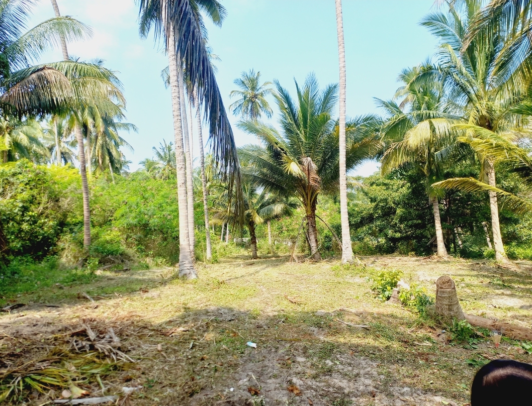 Land for sale in Thong Chai Subdistrict, Bang Saphan District, Prachuap Khiri Khan.  Located close to the sea,.(approximately 6,304 square meters). 11