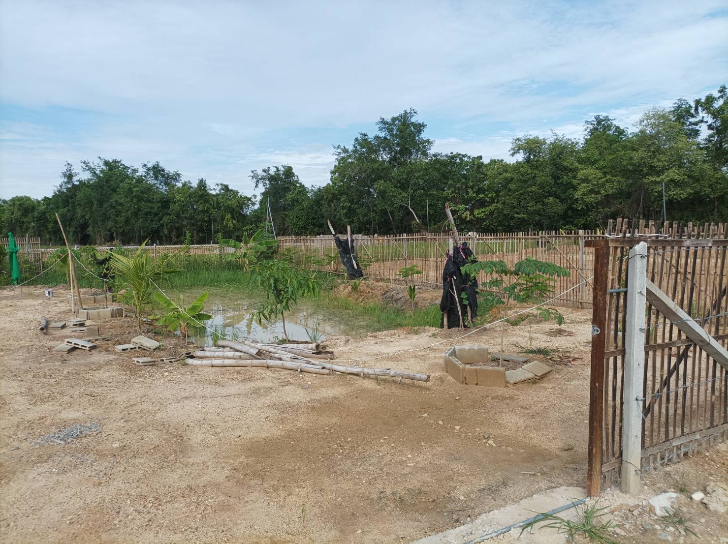 ขายที่ดินเปล่าพร้อมถม ต.สง่าบ้าน อ.ดอยสะเก็ด จ.เชียงใหม่ 8