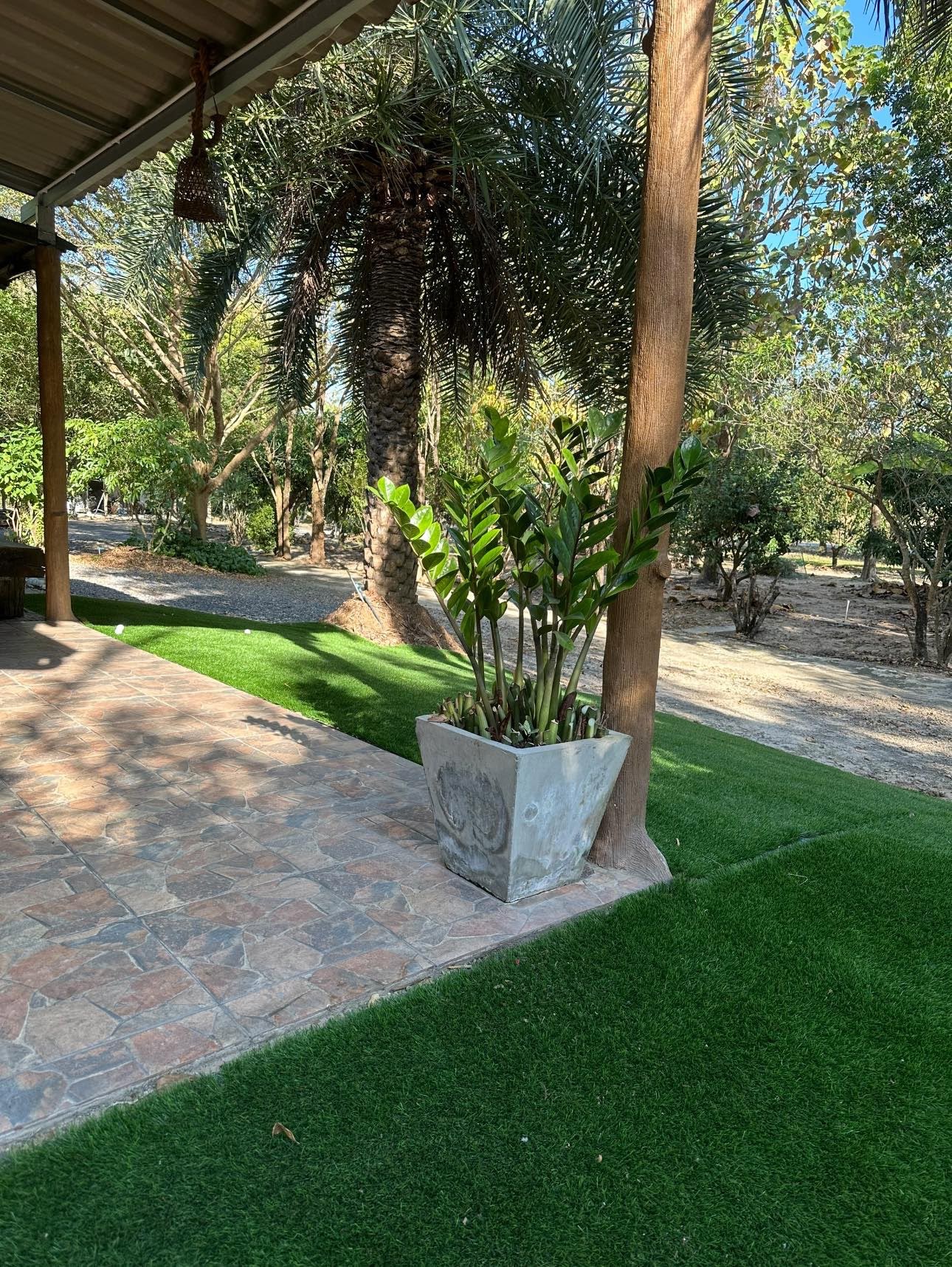 ขายถูกมาก ที่ดินพร้อมบ้านสวน 2ไร่2งาน5ตรว. 8