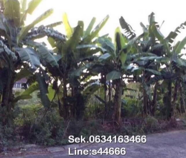 ที่ดินซอยนวมินทร์ 88 4