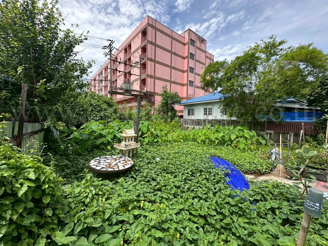 ที่ดินเปล่า 59 ตร.วา ซอยพิบูลสงคราม 22 - ซอยวัดกำแพง ราคาถูก 6