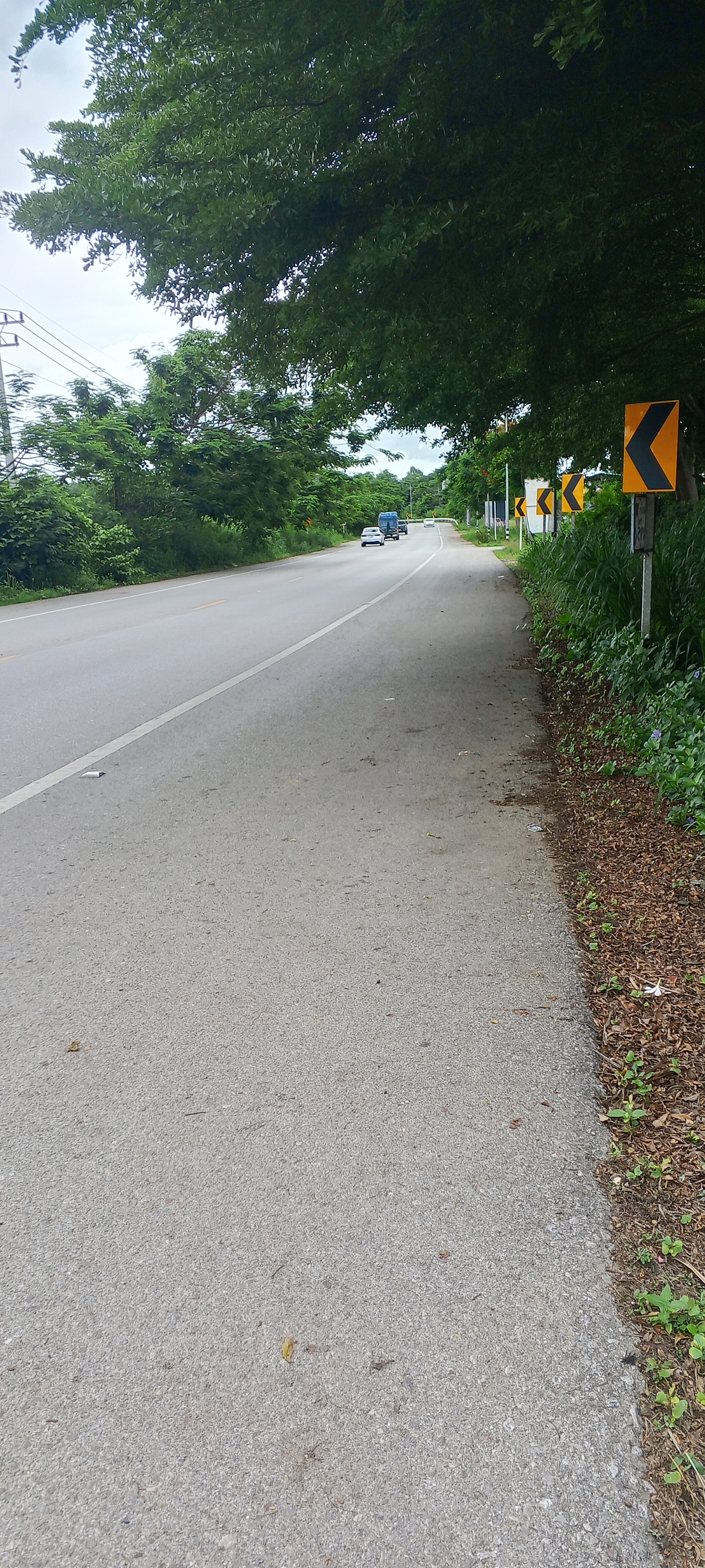 บ้านและที่ดินอสังหาริมทรัพย์ติดทางเข้าสะดวกสบายมีน้ำมีไฟ 5