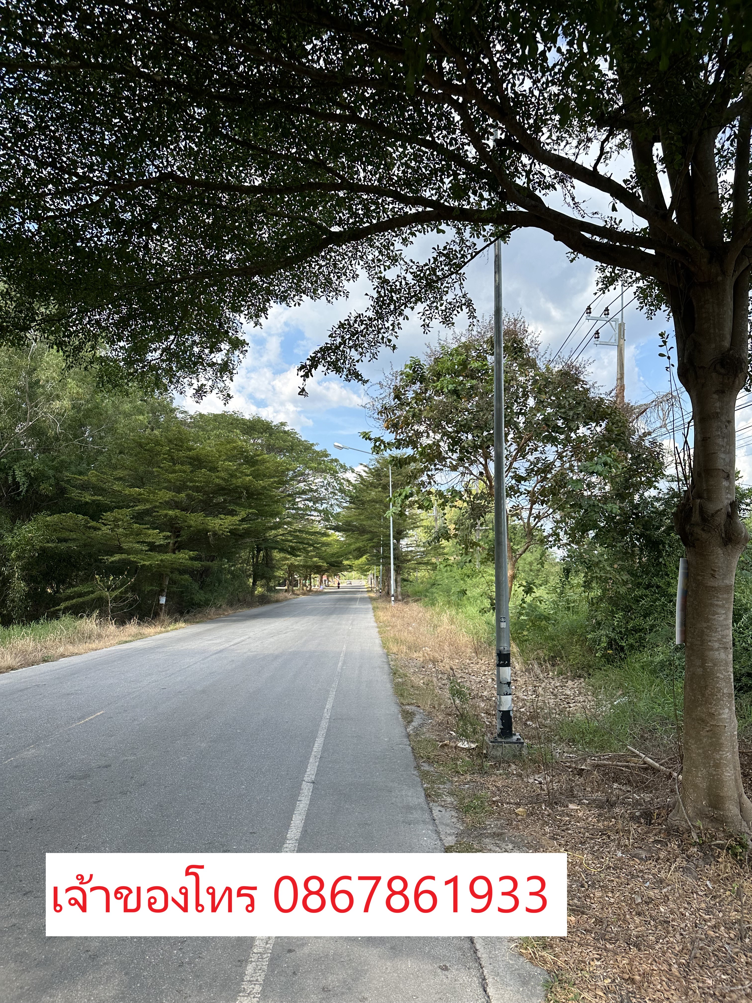🌳🔥 ขายที่ดินแปลงใหญ่ 31 ไร่ ใกล้สุขุมวิท เพียง 1.3 กม. ต. ตะพง อ.เมืองระยอง 🔥🌳  หน้ากว้าง 280 เมตร ติดถนนใหญ่ เหมาะทำหมู่บ้านจัดสรร 10