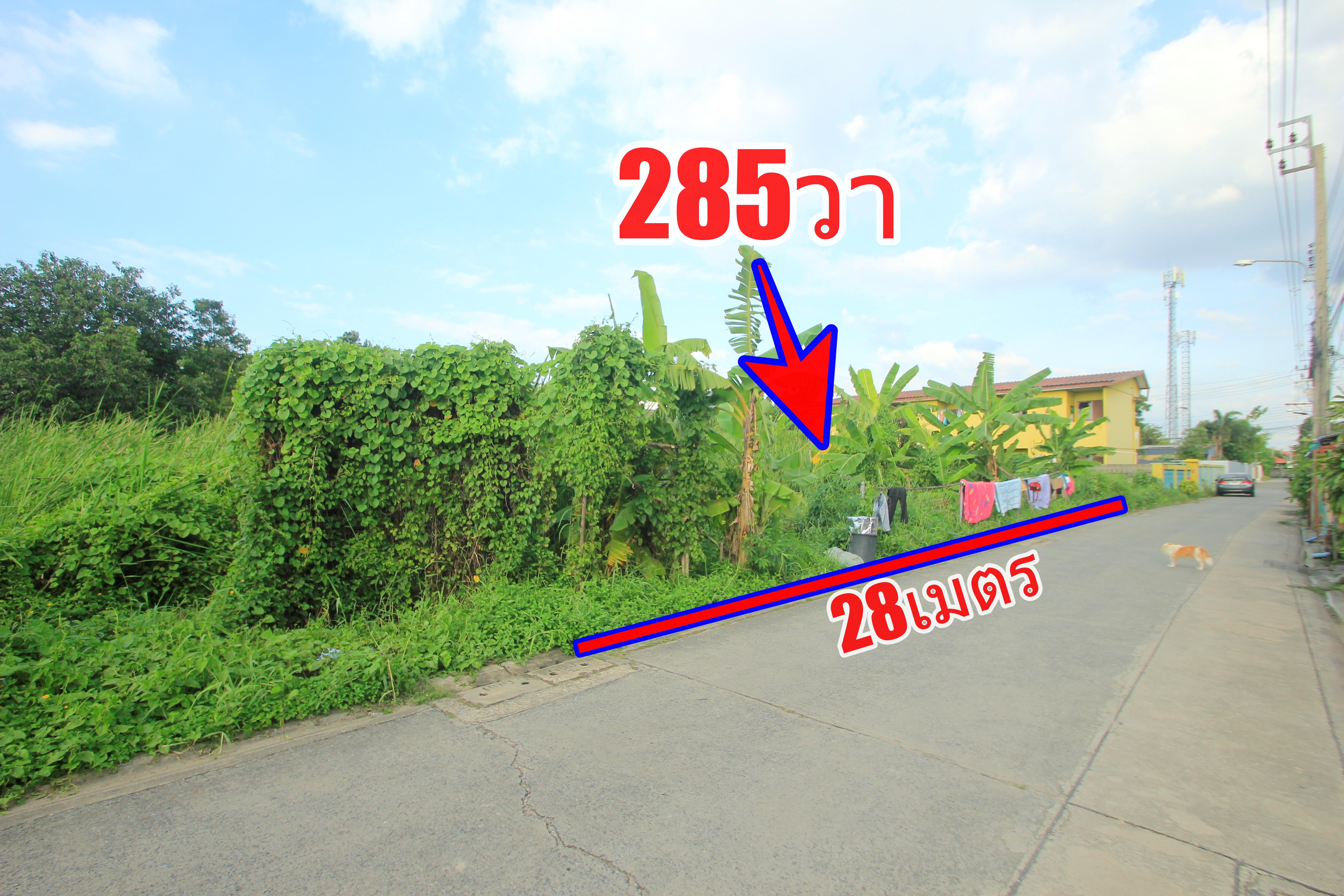 ที่ดินเพชรเกษม69 สวัสดิการ1 เลียบคลองภาษีเจริญฝั่งเหนือ 285วา ที่ดินสร้างบ้าน บ้านเช่า โกดัง ราคาพิเศษ 1