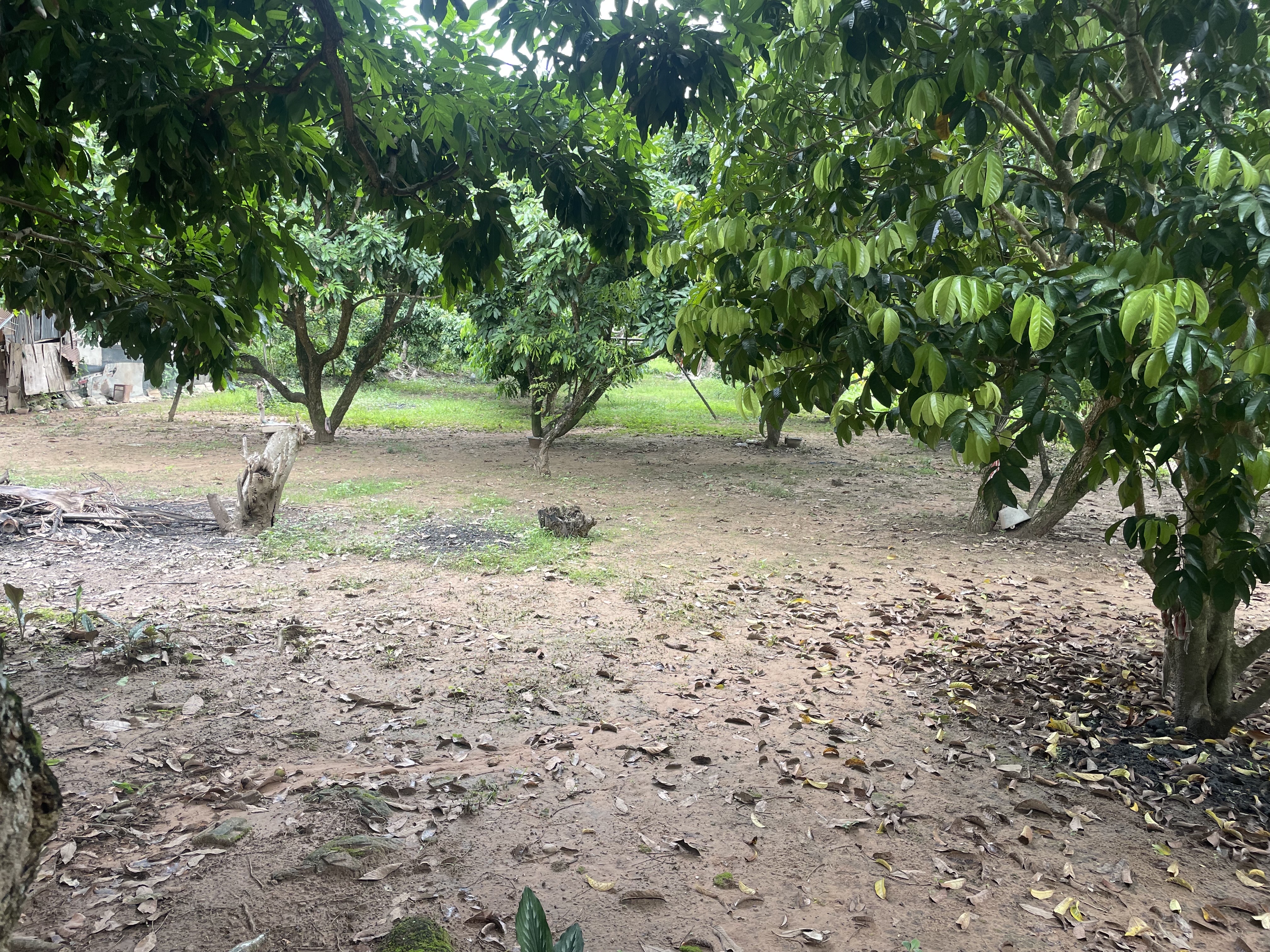 ขายที่ดินติดเขื่อนแม่งัด 5