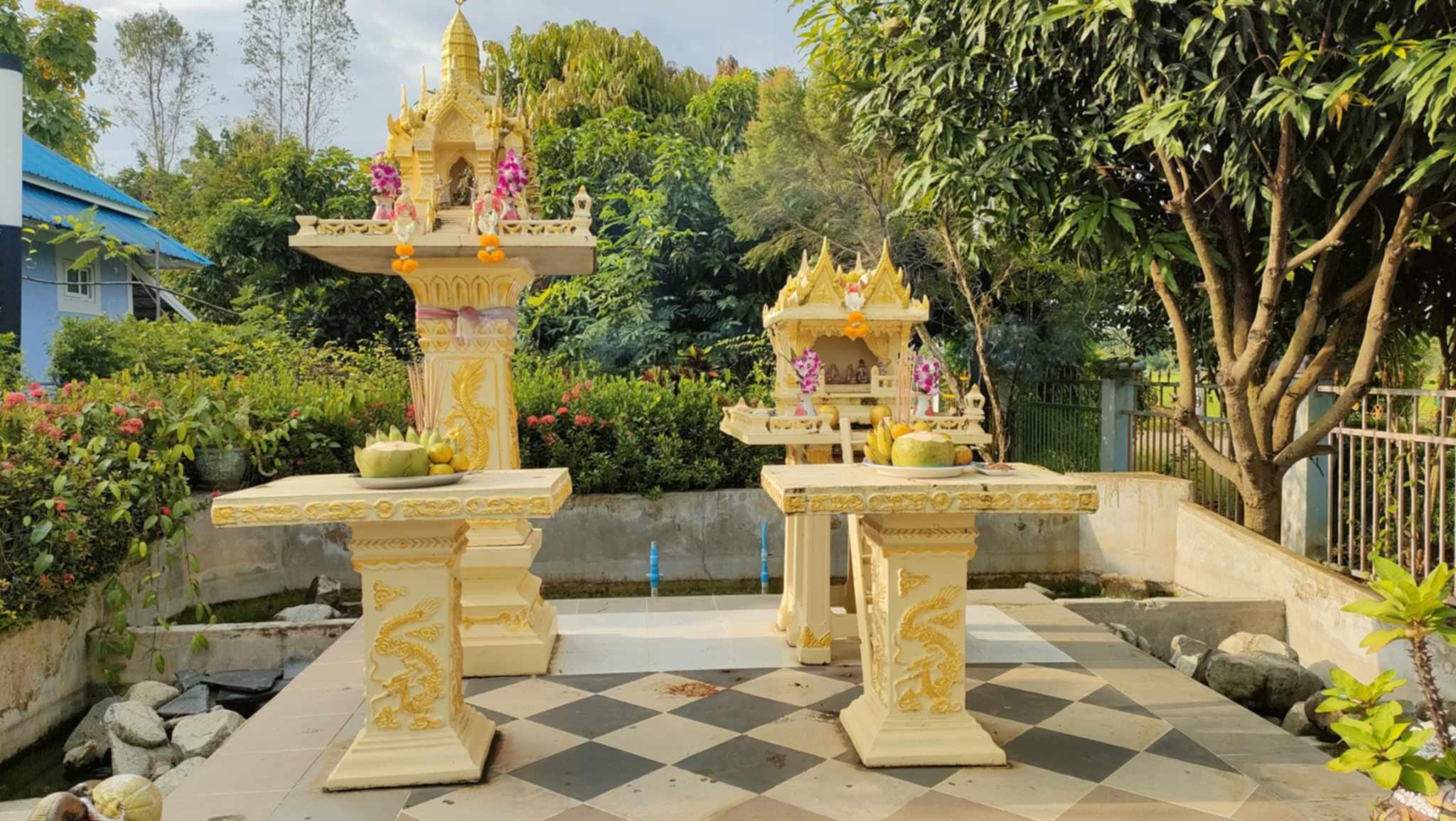 sale  Wooden House  Phetchabun ขายบ้านสวน เพชรบูรณ์ สิบไร่ โฉนด วิวเทือกเขา 13
