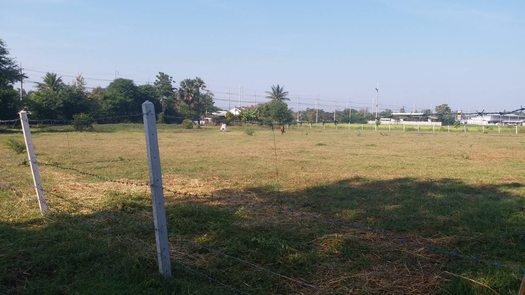 ขายที่ดิน 4 ไร่  ต. เขาขลุง  อ. บ้านโป่ง  จ.ราชบุรี ถมแล้ว+มีรั้ว ติดถนน 2 ด้าน ใกล้แหล่งชุมชน 6