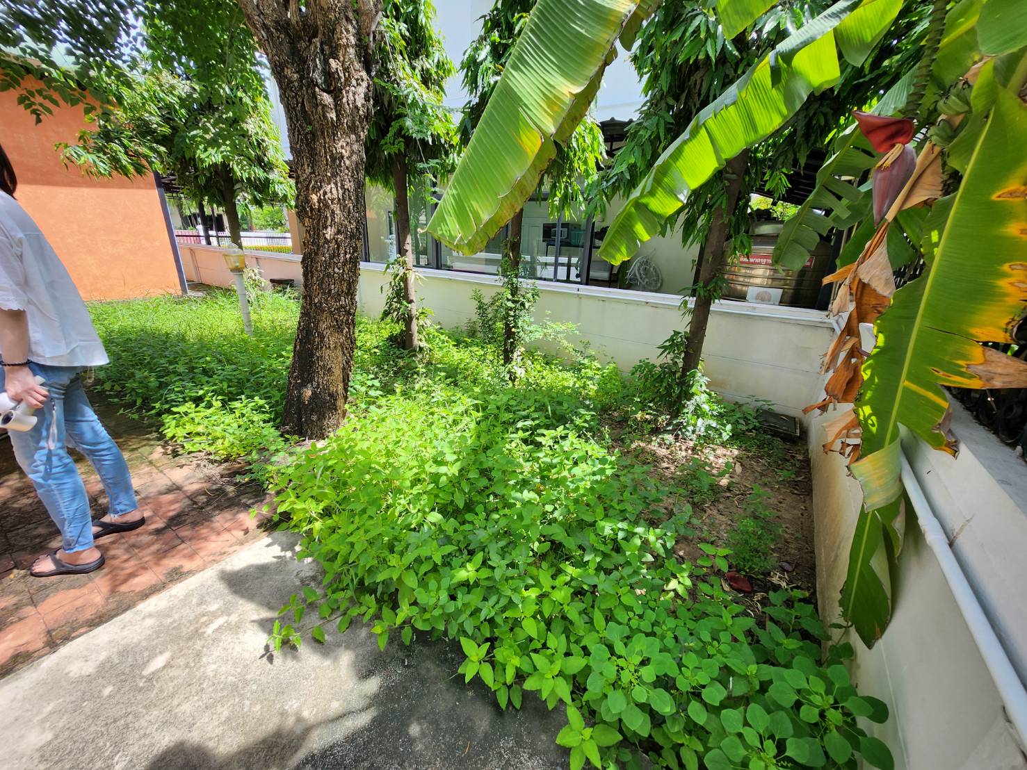 บ้านเดียว2ชั้น เนื้อที่ 90 ตรว. 7