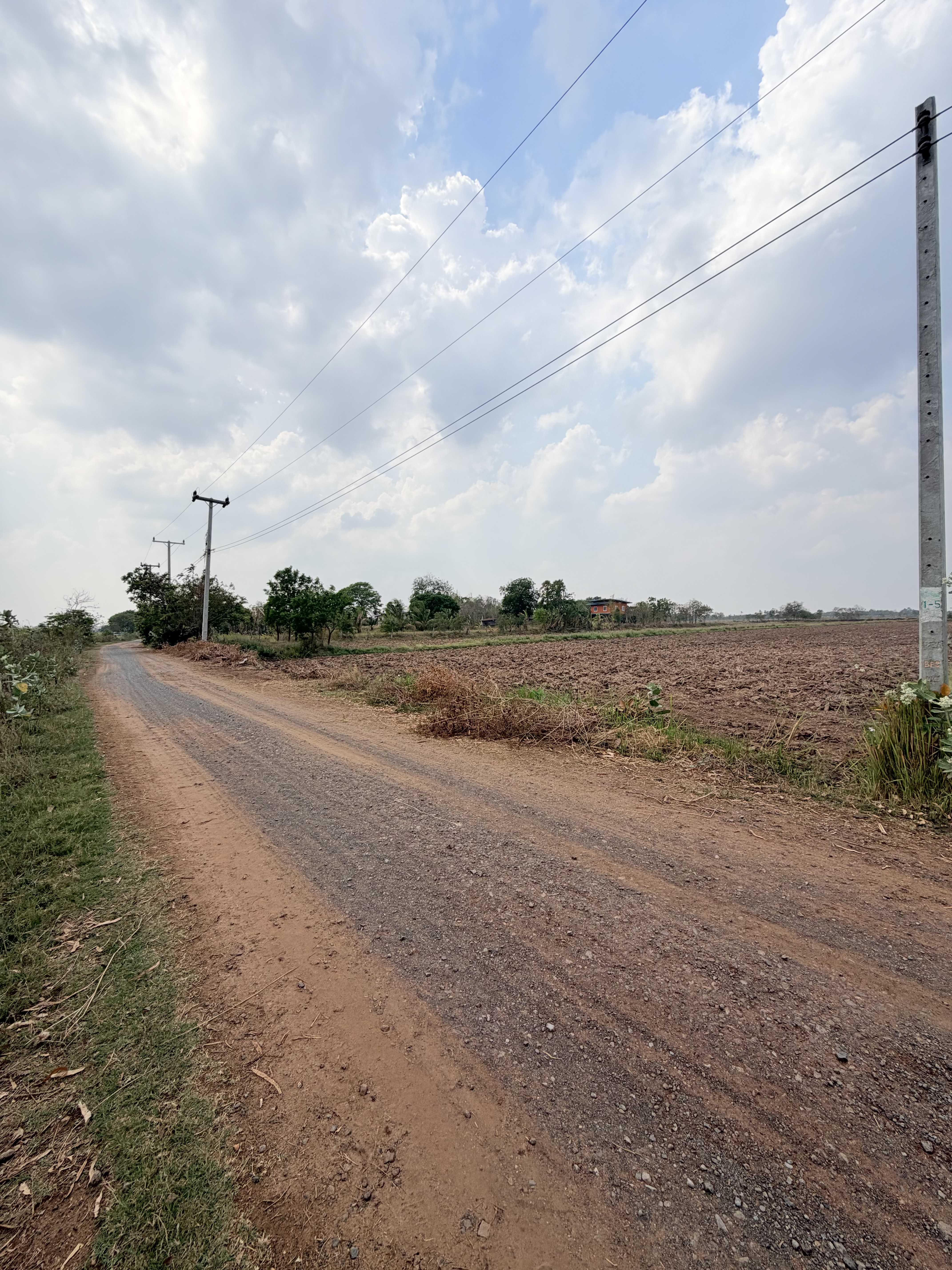 📍ขายที่นา 4ไร่ 3งาน 3.1ตารางวา หน้ากว้าง 40 เมตร น้ำไม่เคยท่วม มีไฟฟ้า น้ำปะปา  ติดถนน 3