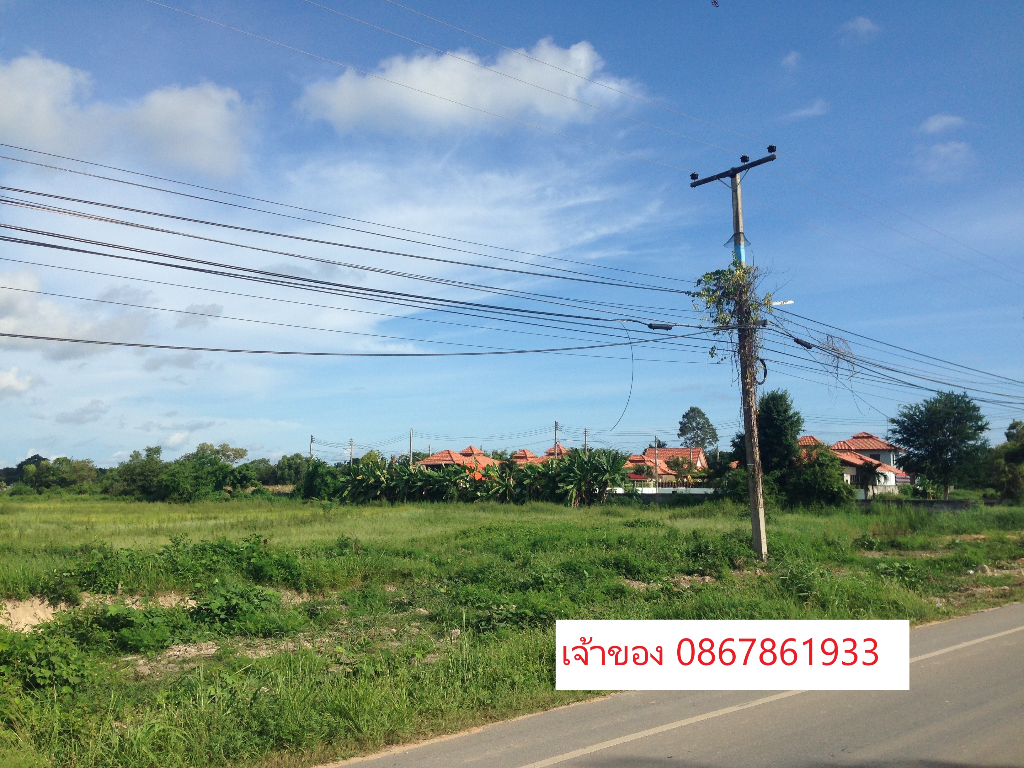 🌳🔥 ขายที่ดินแปลงใหญ่ 31 ไร่ ใกล้สุขุมวิท เพียง 1.3 กม. ต. ตะพง อ.เมืองระยอง 🔥🌳  หน้ากว้าง 280 เมตร ติดถนนใหญ่ เหมาะทำหมู่บ้านจัดสรร 9
