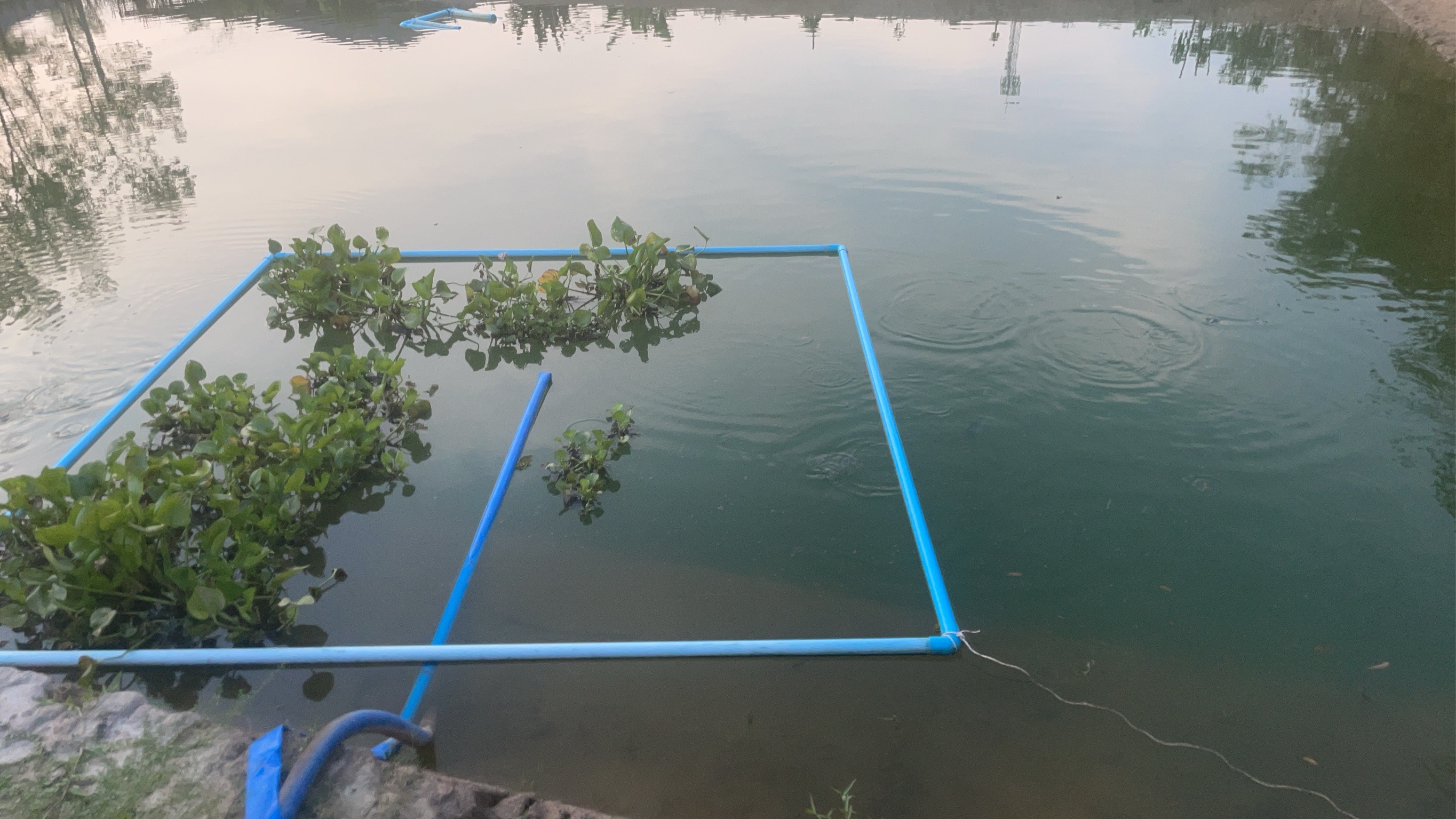 บ้านพร้อมสวน เกษตร ผสมผสาน 17