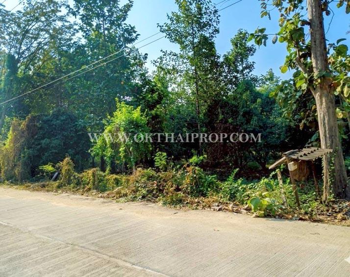 ที่ดินสวย 2 แปลง ใกล้โรงพยาบาลบึงสามัคคี อ.บึงสามัคคี จ.กำแพงเพชร 5