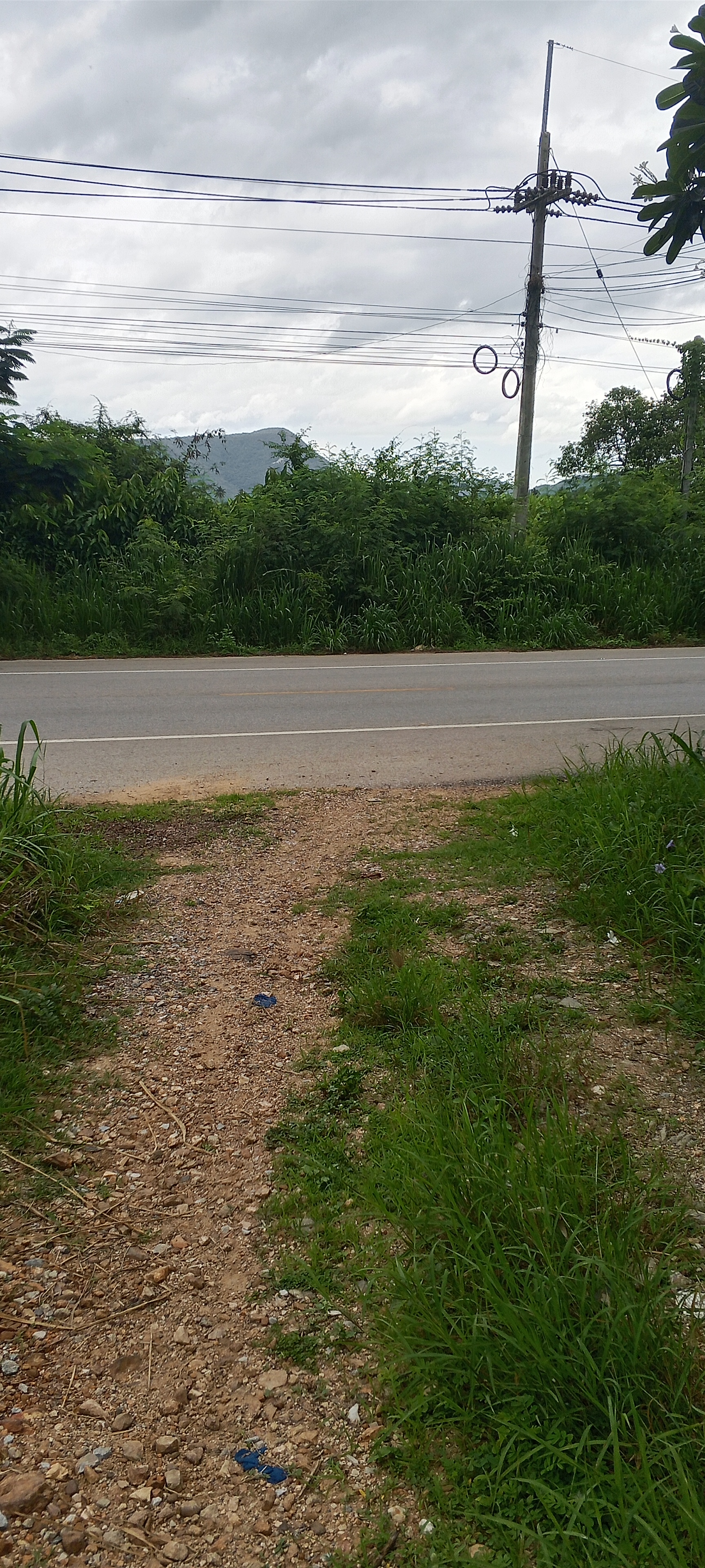 บ้านและที่ดินอสังหาริมทรัพย์ติดทางเข้าสะดวกสบายมีน้ำมีไฟ 3