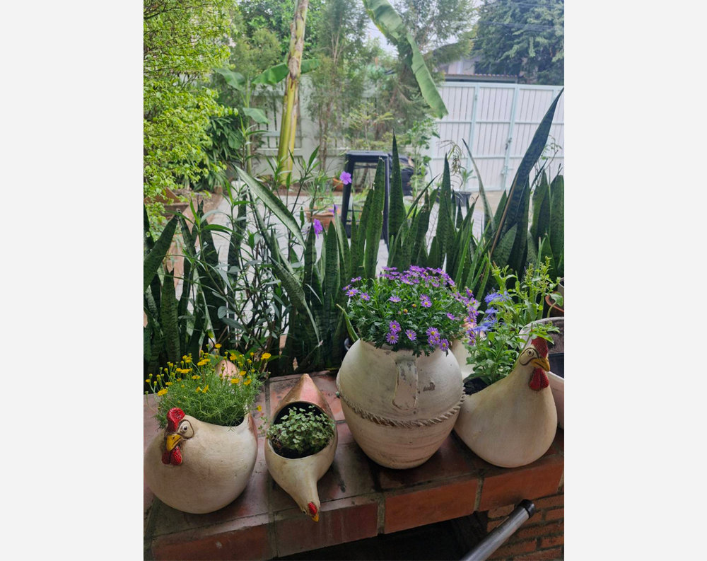 หมู่บ้านประชานิเวศน์ 3 เมืองนนทบุรี บ้านเดี่ยว 38 ตารางวา 2 ห้องนอน 2 ห้องน้ำ ใกล้รถไฟฟ้าสีชมพู สนามบินน้ำ 8