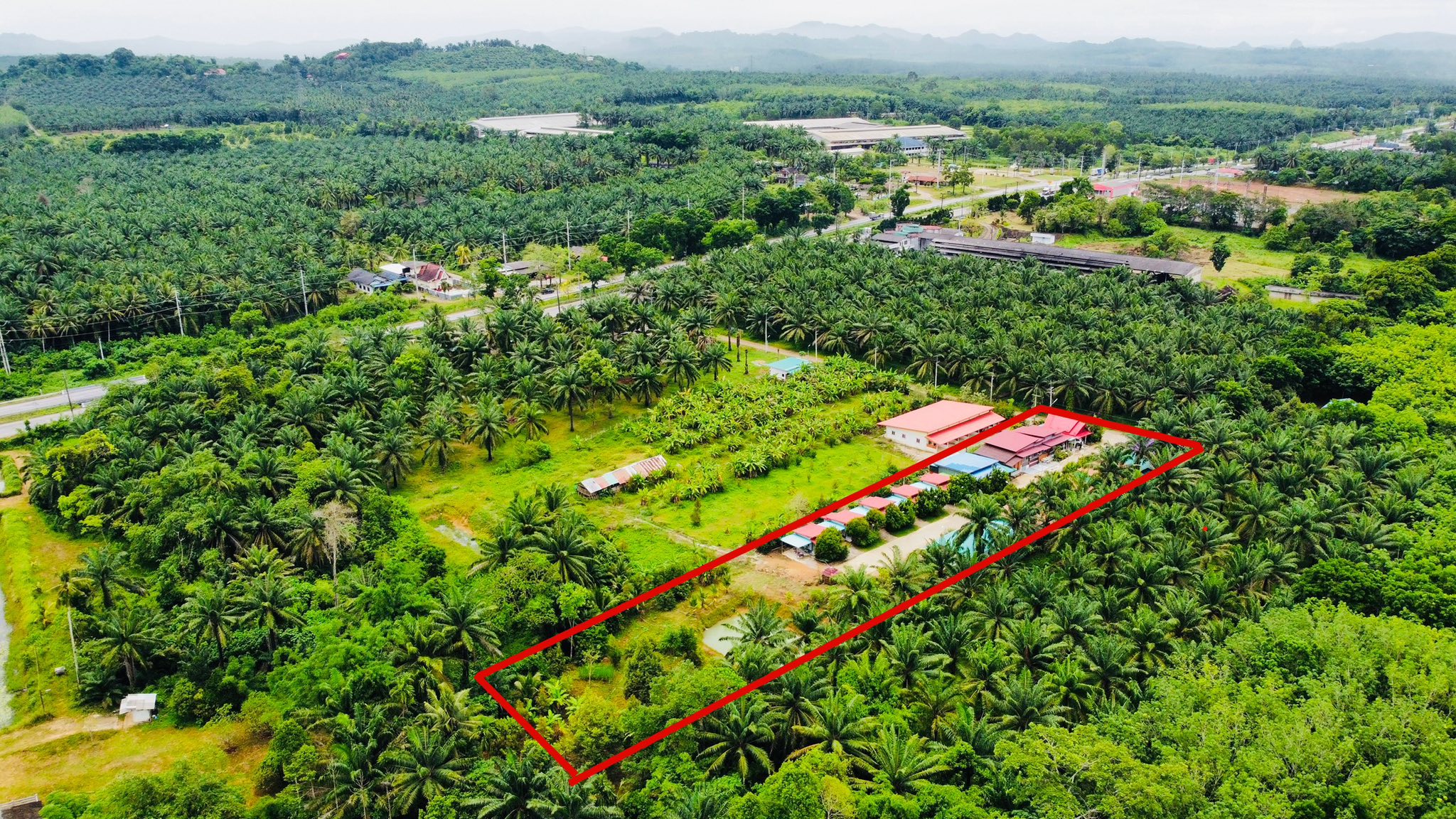 ขายกิจการ รีสอร์ท+บ้าน ท่าแซะ ชุมพร  3