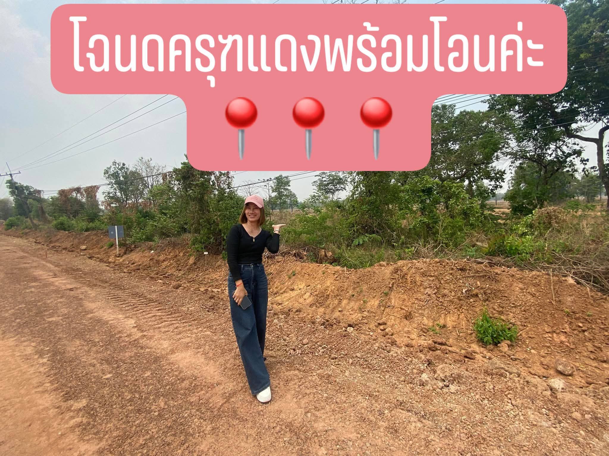 ที่ดินติดถนนหลักเส้นนาแก-พระซอง-เรณู24 ไร่ 5