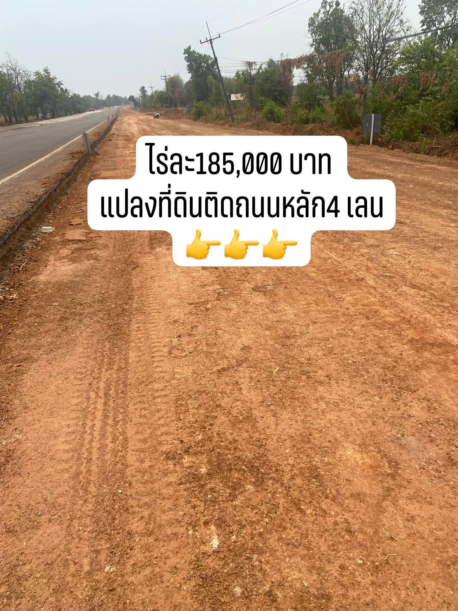 ที่ดินติดถนนหลักเส้นนาแก-พระซอง-เรณู24 ไร่ 4