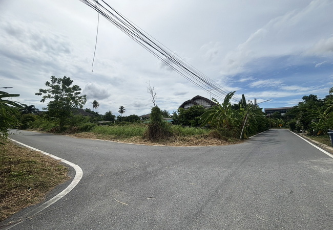 ขายที่ดิน ซอยสุขาภิบาล 10 สามพราน นครปฐม เนื้อที่ 89 ตร.ว. แปลงมุม 6