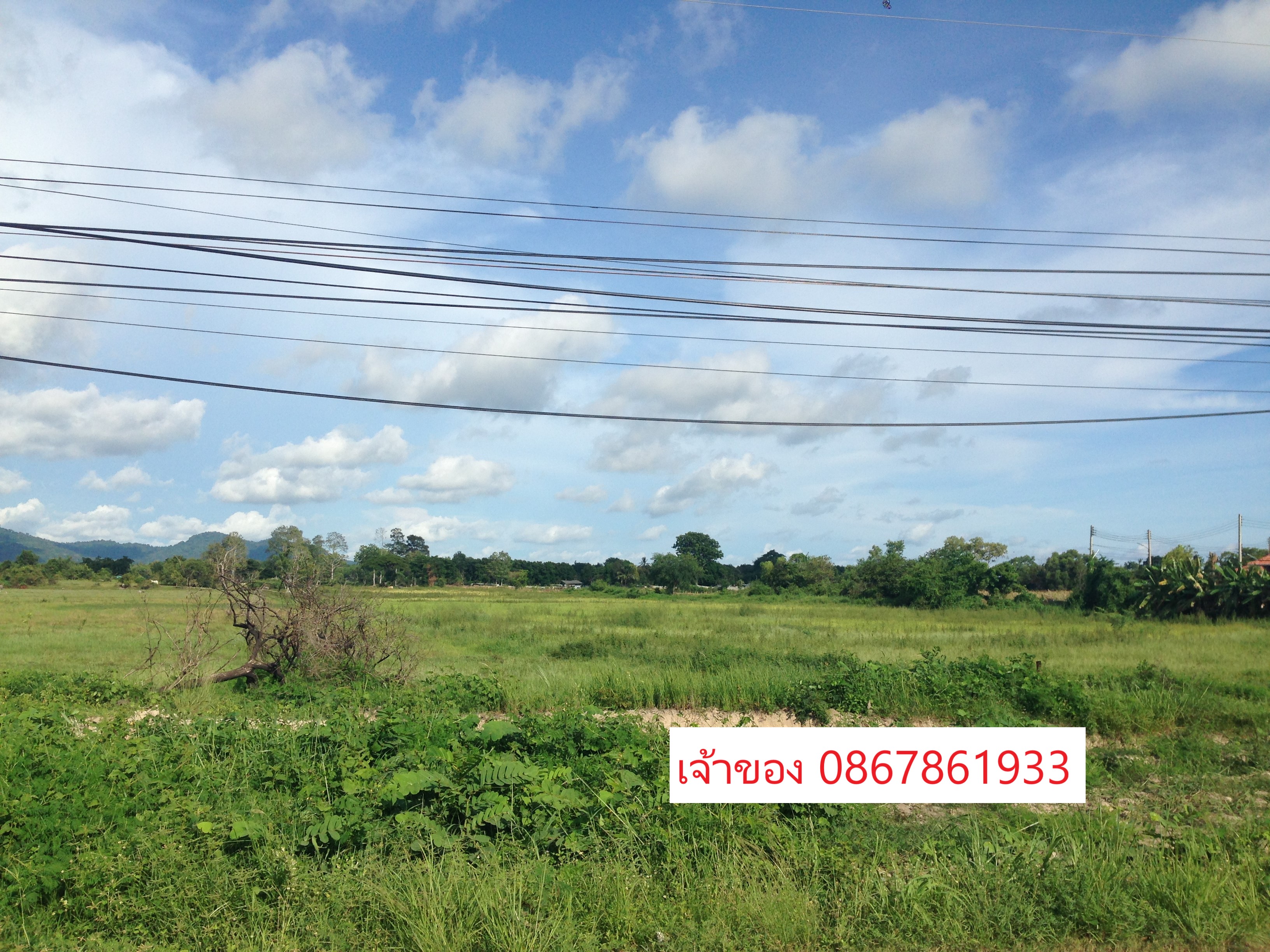 🌳🔥 ขายที่ดินแปลงใหญ่ 31 ไร่ ใกล้สุขุมวิท เพียง 1.3 กม. ต. ตะพง อ.เมืองระยอง 🔥🌳  หน้ากว้าง 280 เมตร ติดถนนใหญ่ เหมาะทำหมู่บ้านจัดสรร 8