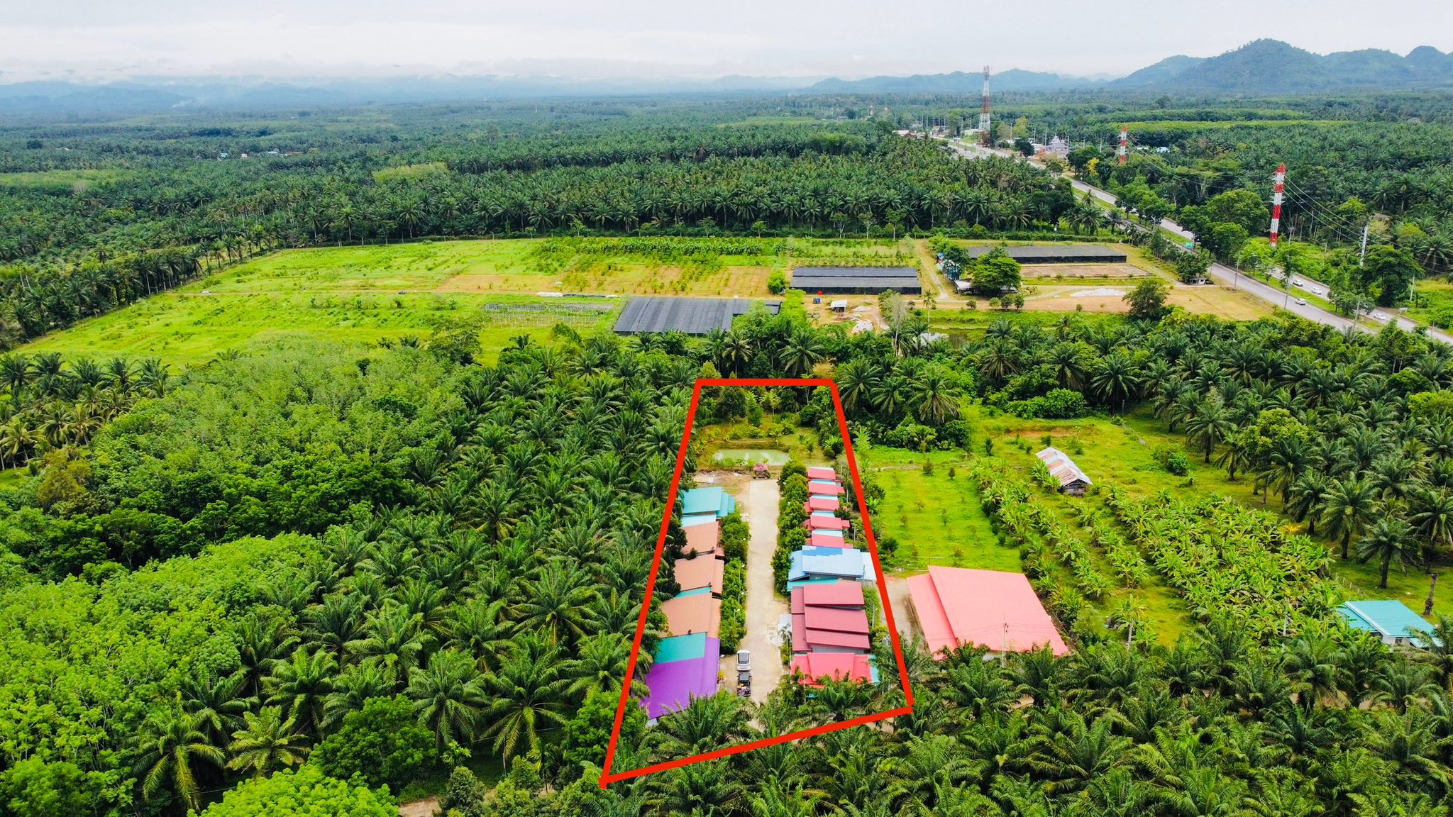 ขายกิจการ รีสอร์ท+บ้าน ท่าแซะ ชุมพร  2