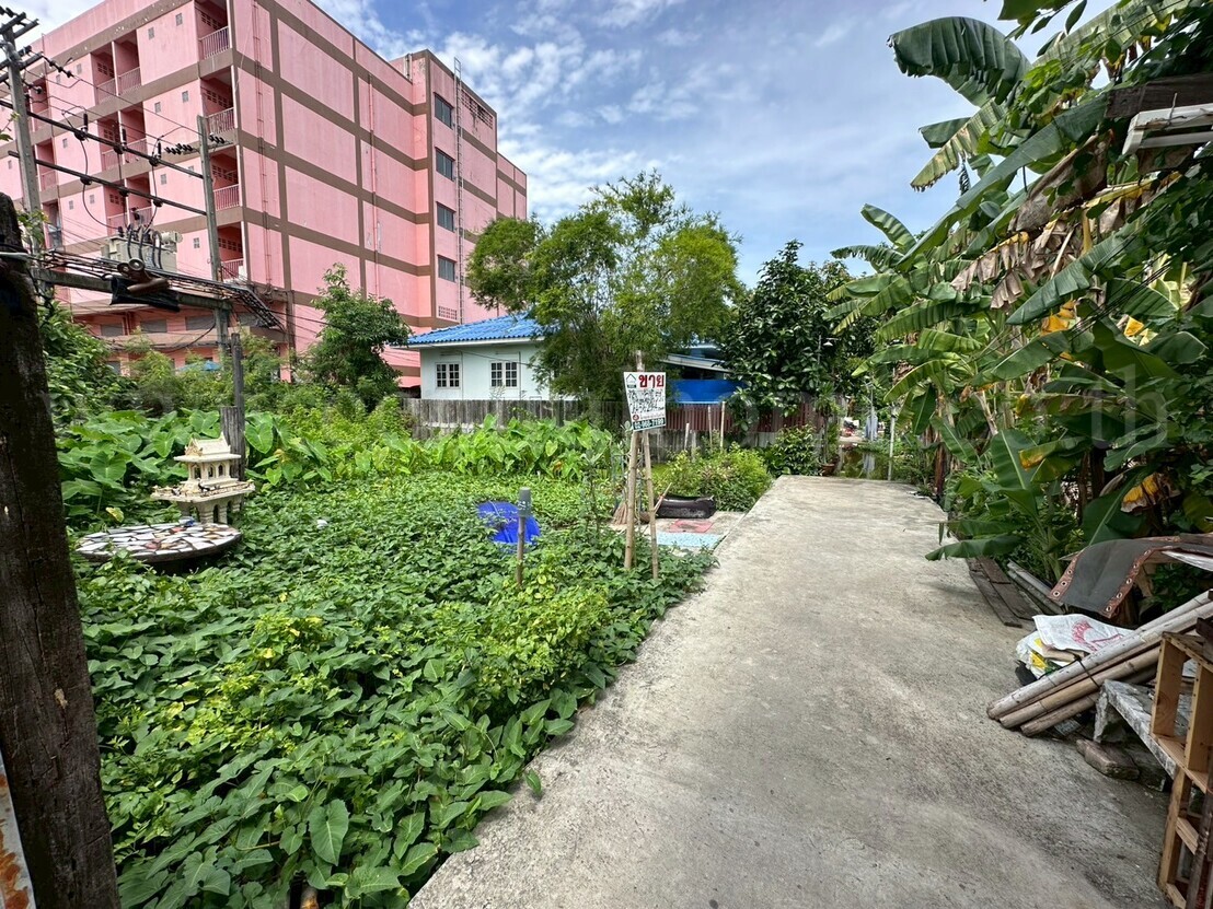 ที่ดินเปล่า 59 ตร.วา ซอยพิบูลสงคราม 22 - ซอยวัดกำแพง ราคาถูก 9