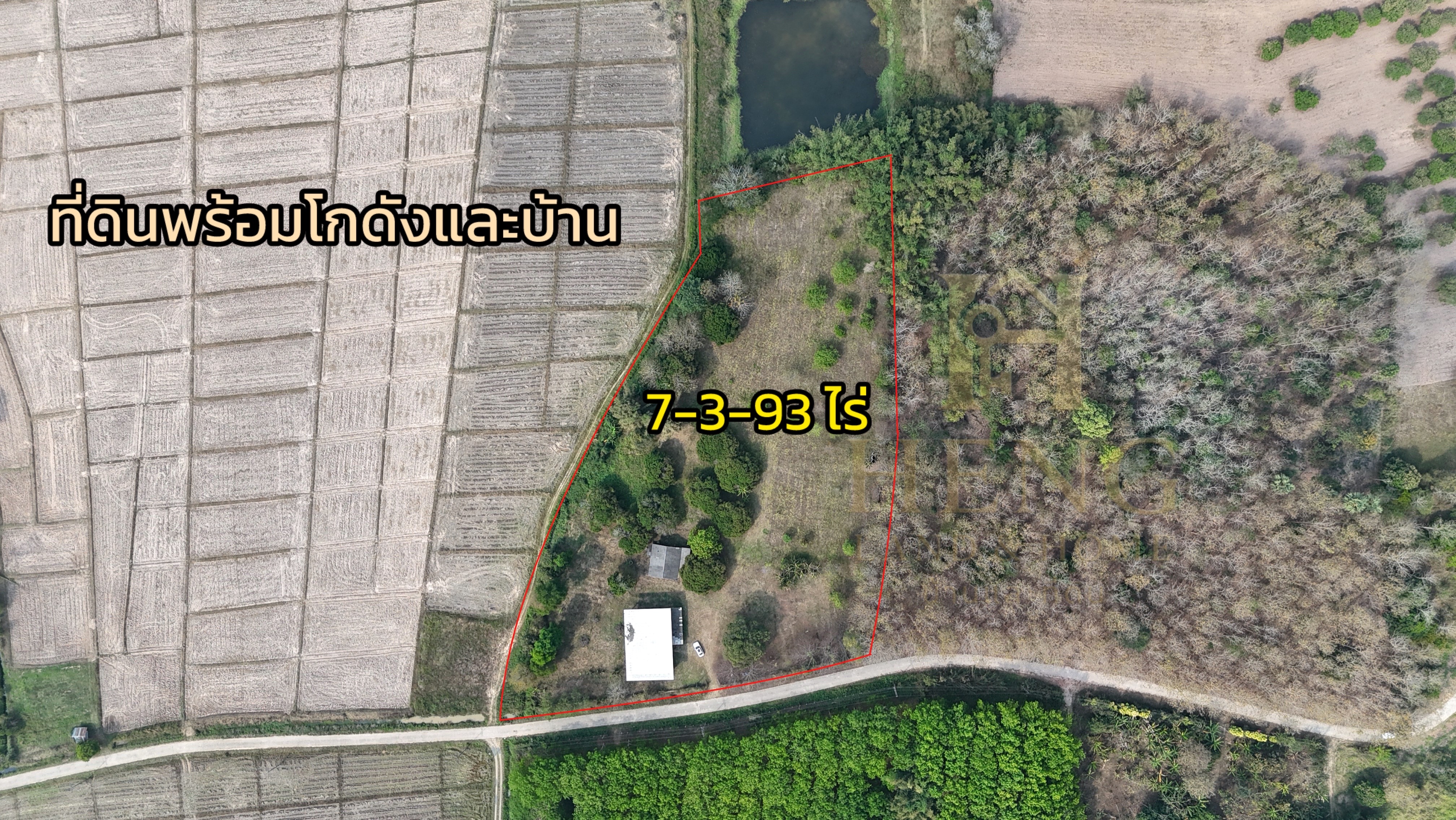 ขายที่ดินเปล่าพร้อมโกดังและบ้าน บ้านจำปู ต.เจริญเมือง อ.พาน จ.เชียงราย 57120 3