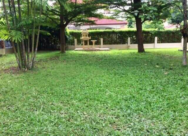 บ้านเดี่ยว2ชั้นบนที่ดิน 121 ตรว.4ห้องนอน 3ห้องน้ำใกล้เซนทรัลเฟสติวัล ตลาดสามแยก รวมโชค รพ.กรุงเทพ รพ.แมคคอร์มิค บ้านร่มรื่นมากๆส 9