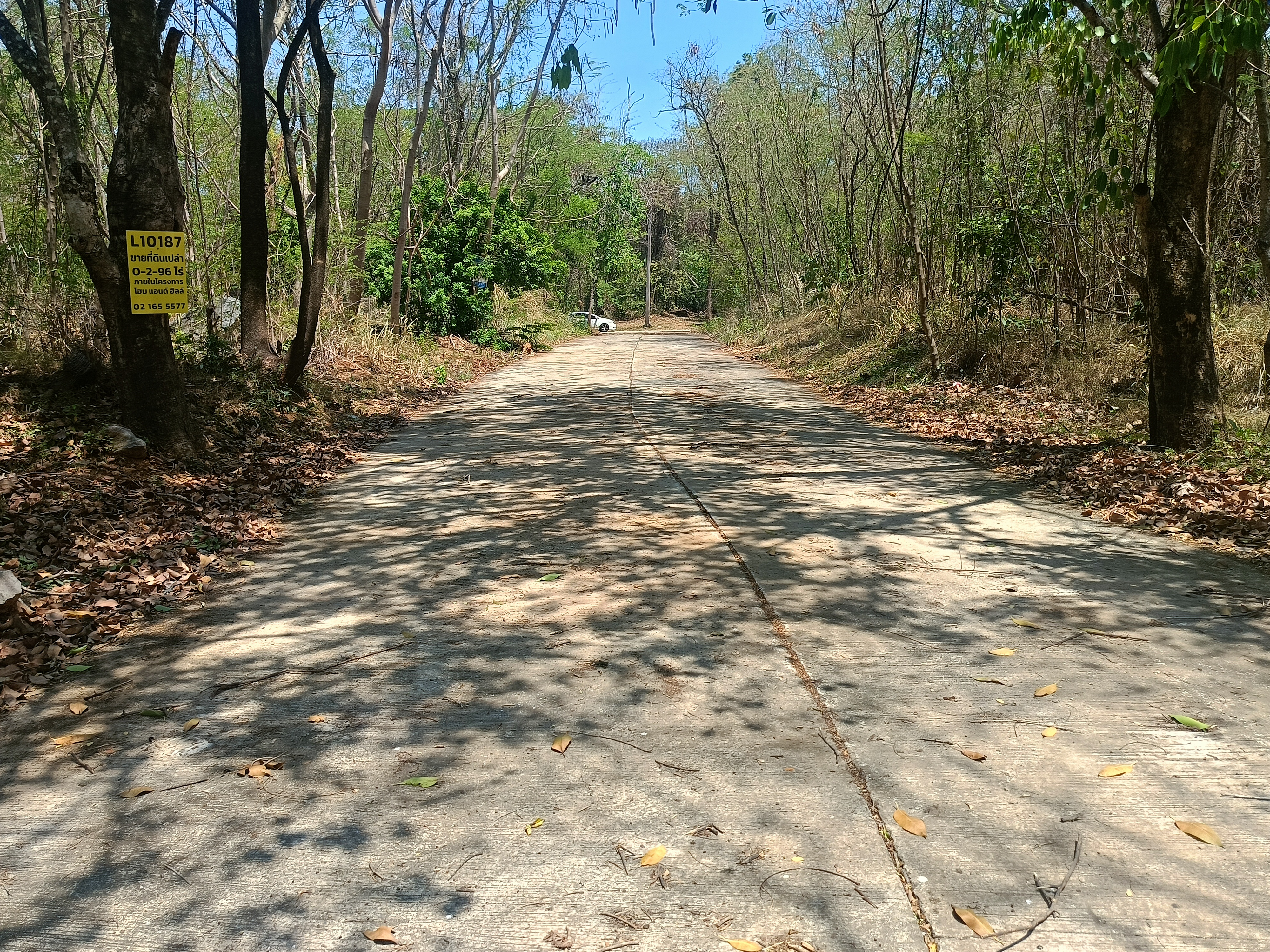 ขายที่ดิน อ.มวกเหล็ก 296 ตร.วา 5