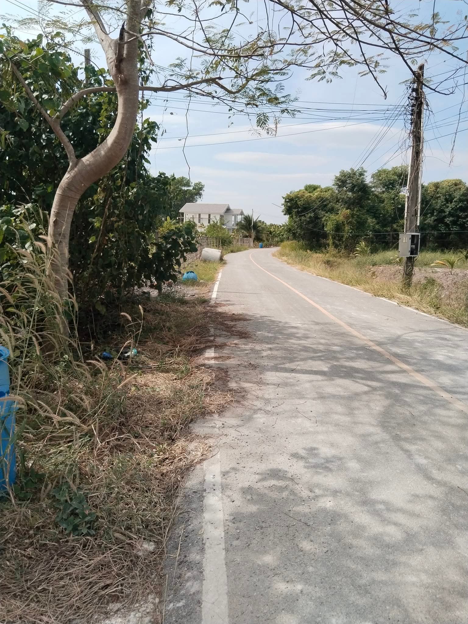 📣📣ที่เปล่าในเมืองจันทบุรี ใกล้ชิดธรรมชาติ🌳🌴🌾 วิวดีๆ บรรยากาศสุดชิว ห่างตัวเมืองเพียง10นาที เนื้อที่3ไร่ขายตร.ว.ละ4,500.-  ***เหมาะทำที่พัก 6