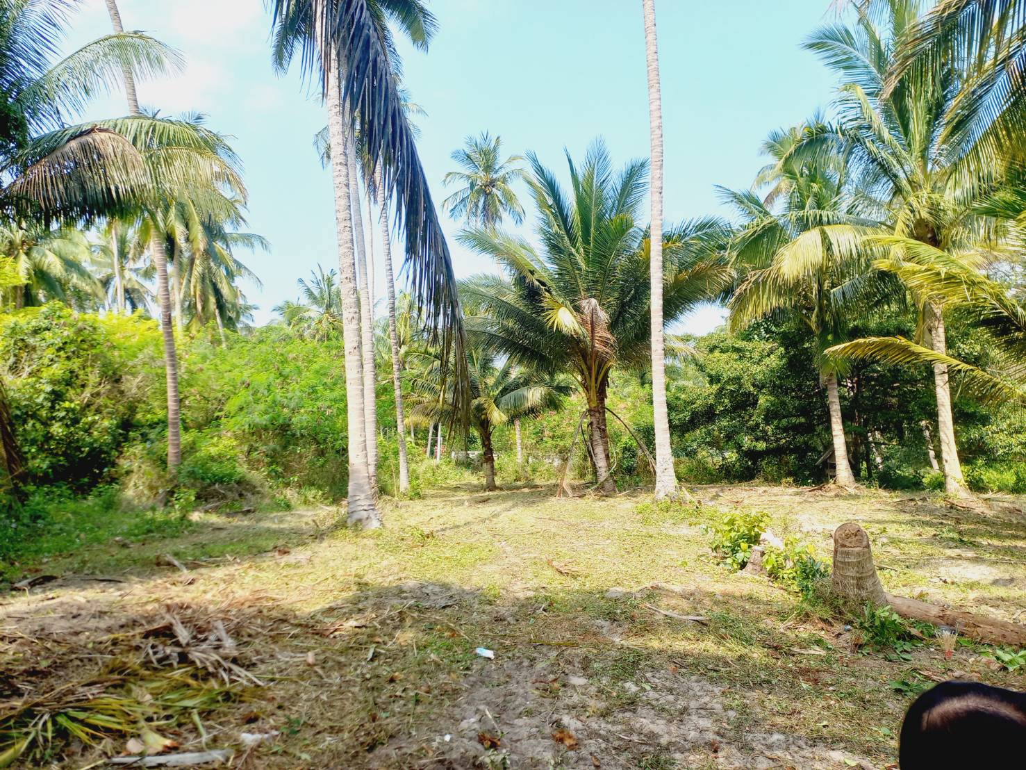 Land for sale in Thong Chai Subdistrict, Bang Saphan District, Prachuap Khiri Khan.  Located close to the sea,.(approximately 6,304 square meters). 16