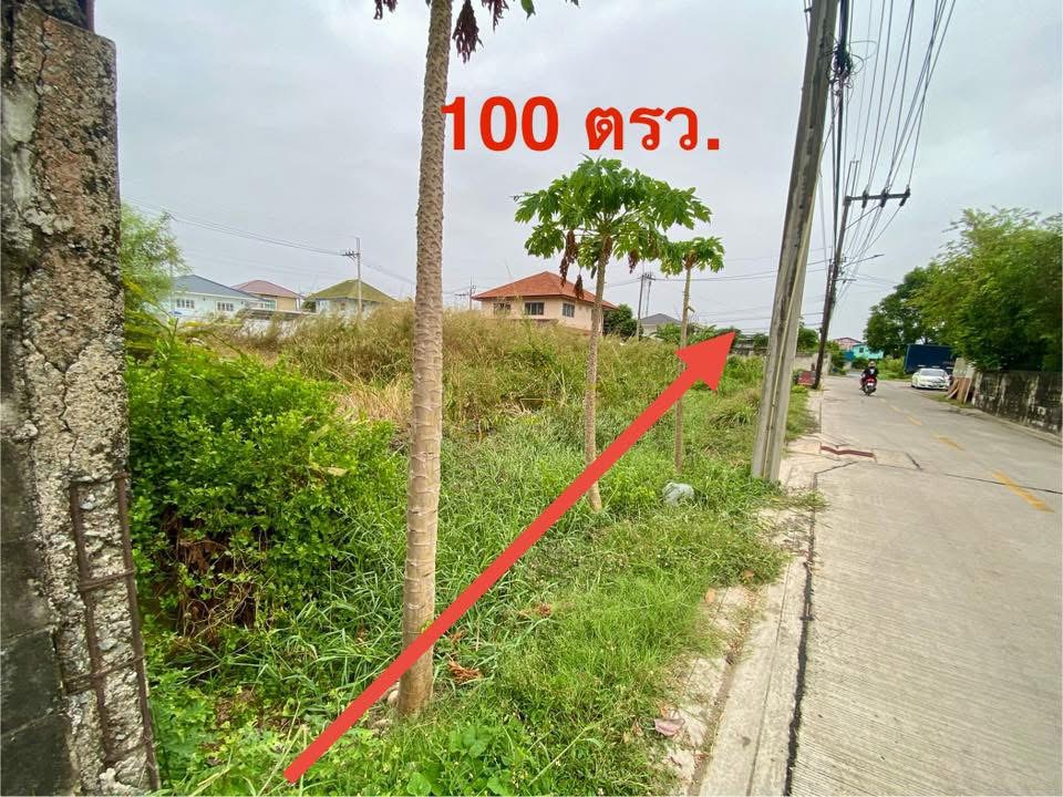 ขายที่ดินสวย 100 ตรว เขต บางขุนเทียน กทม 6