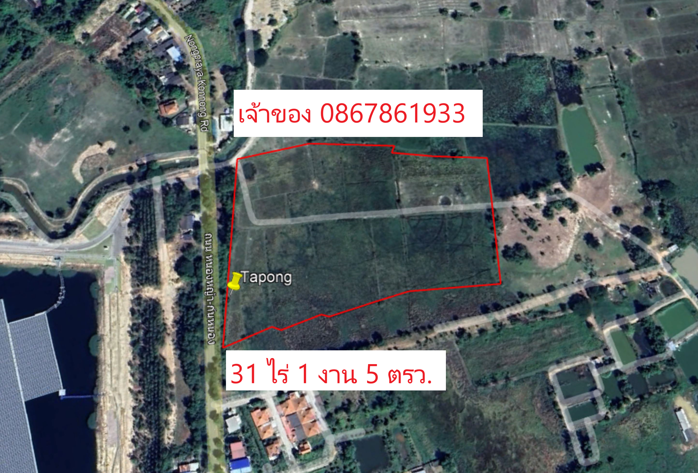 🌳🔥 ขายที่ดินแปลงใหญ่ 31 ไร่ ใกล้สุขุมวิท เพียง 1.3 กม. ต. ตะพง อ.เมืองระยอง 🔥🌳  หน้ากว้าง 280 เมตร ติดถนนใหญ่ เหมาะทำหมู่บ้านจัดสรร 5