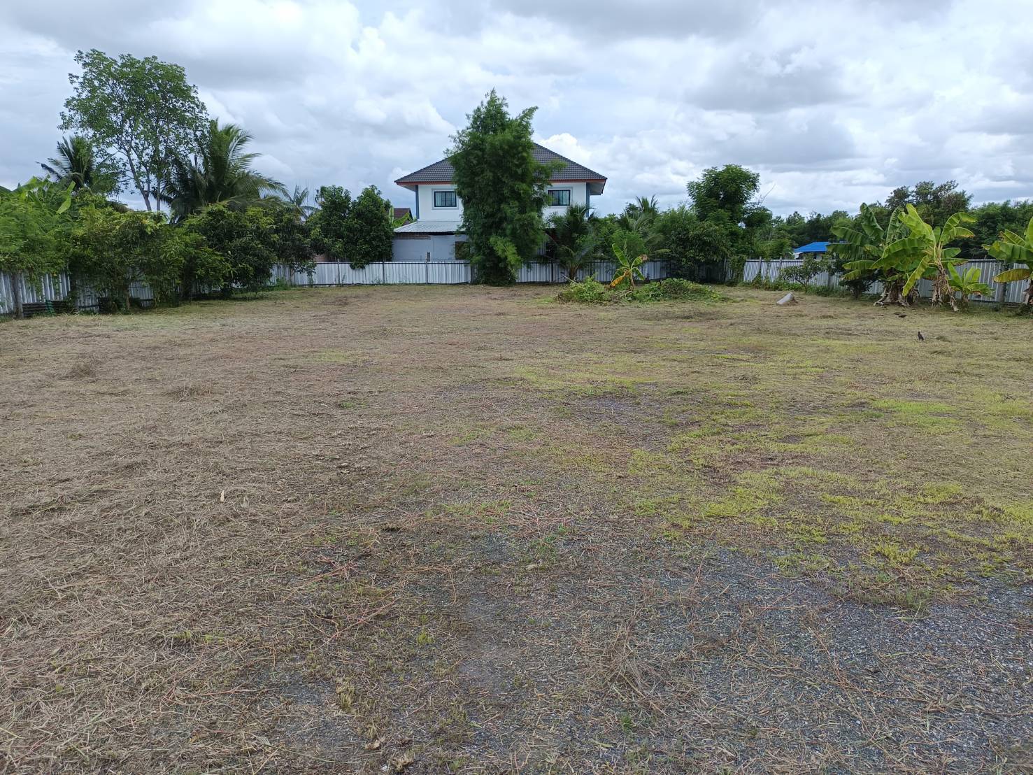 ขายแปลงนา และบ้าน เอกสารโฉนด ดอยสะเก็ด เชียงใหม่ 4
