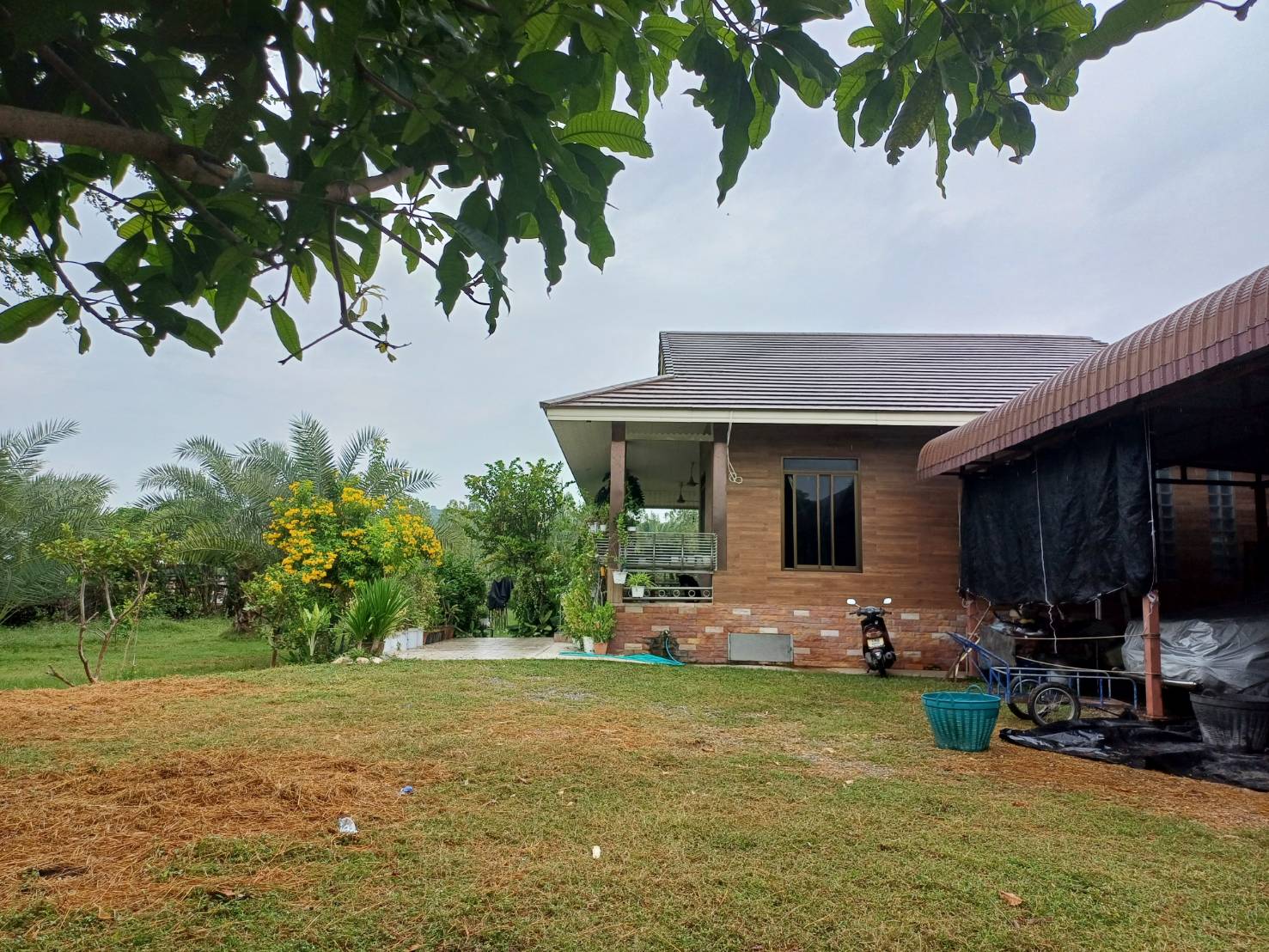ขายที่ดิน อ.บ้านโป่ง  จ. ราชบุรี 6 ไร่ พร้อมบ้าน 3 หลัง 15