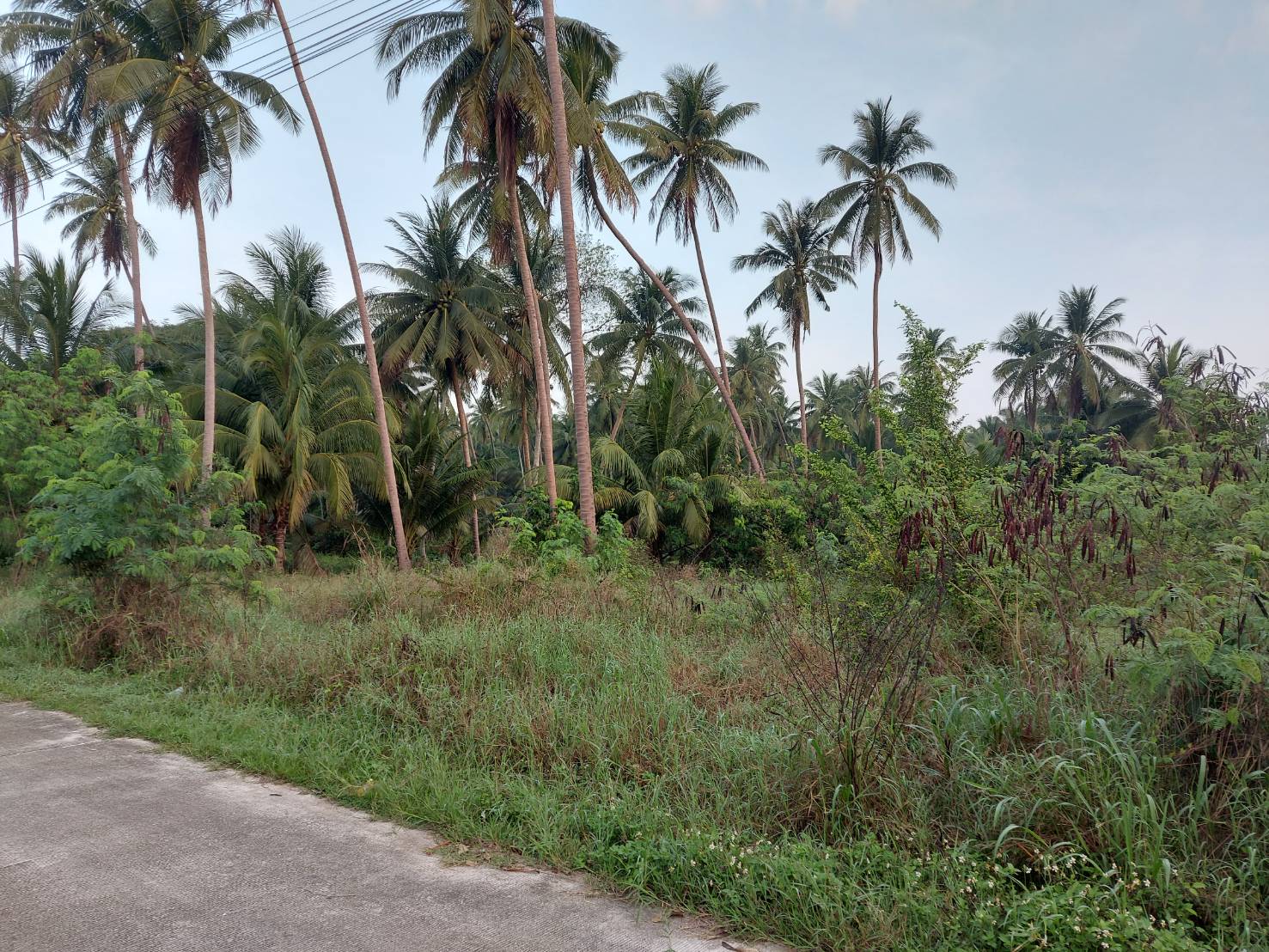 Land for sale in Thong Chai Subdistrict, Bang Saphan District, Prachuap Khiri Khan.  Located close to the sea,.(approximately 6,304 square meters). 15